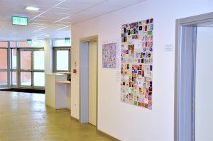 _DSC0495