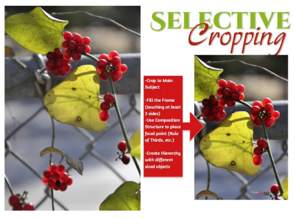 Selective Cropping Composition Lesson