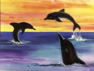 Dry Pastel Dolphin Ocean Sunset art project special olympics artist