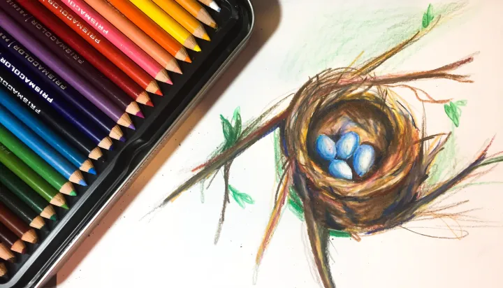 Daily Doodle | Robin’s Nest Drawing