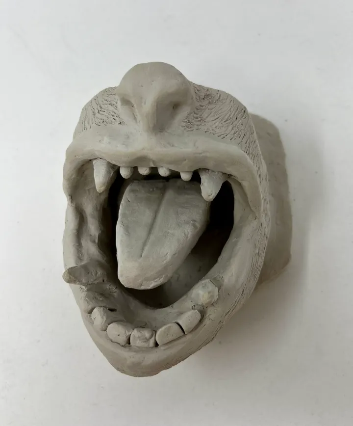 clay facial fragment slab