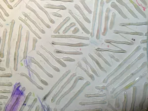 Create your Own Texture Rubbing Plates