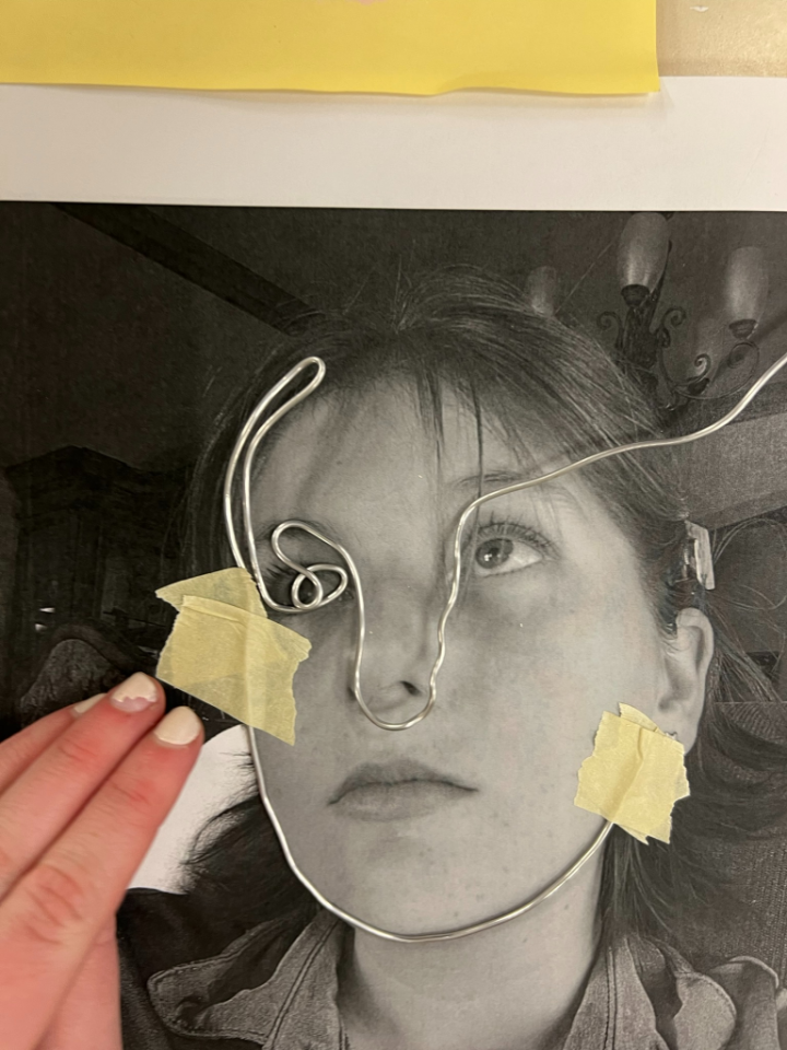 wire portrait