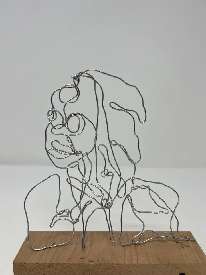 wire portrait sculpture