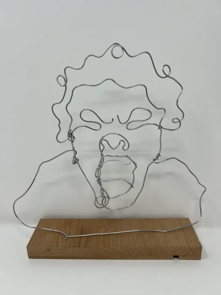 wire portrait sculpture