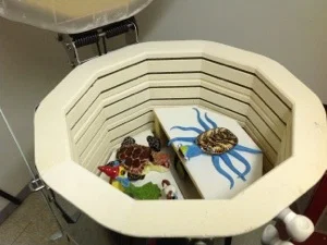 Roll a Beast Ceramic Art Project