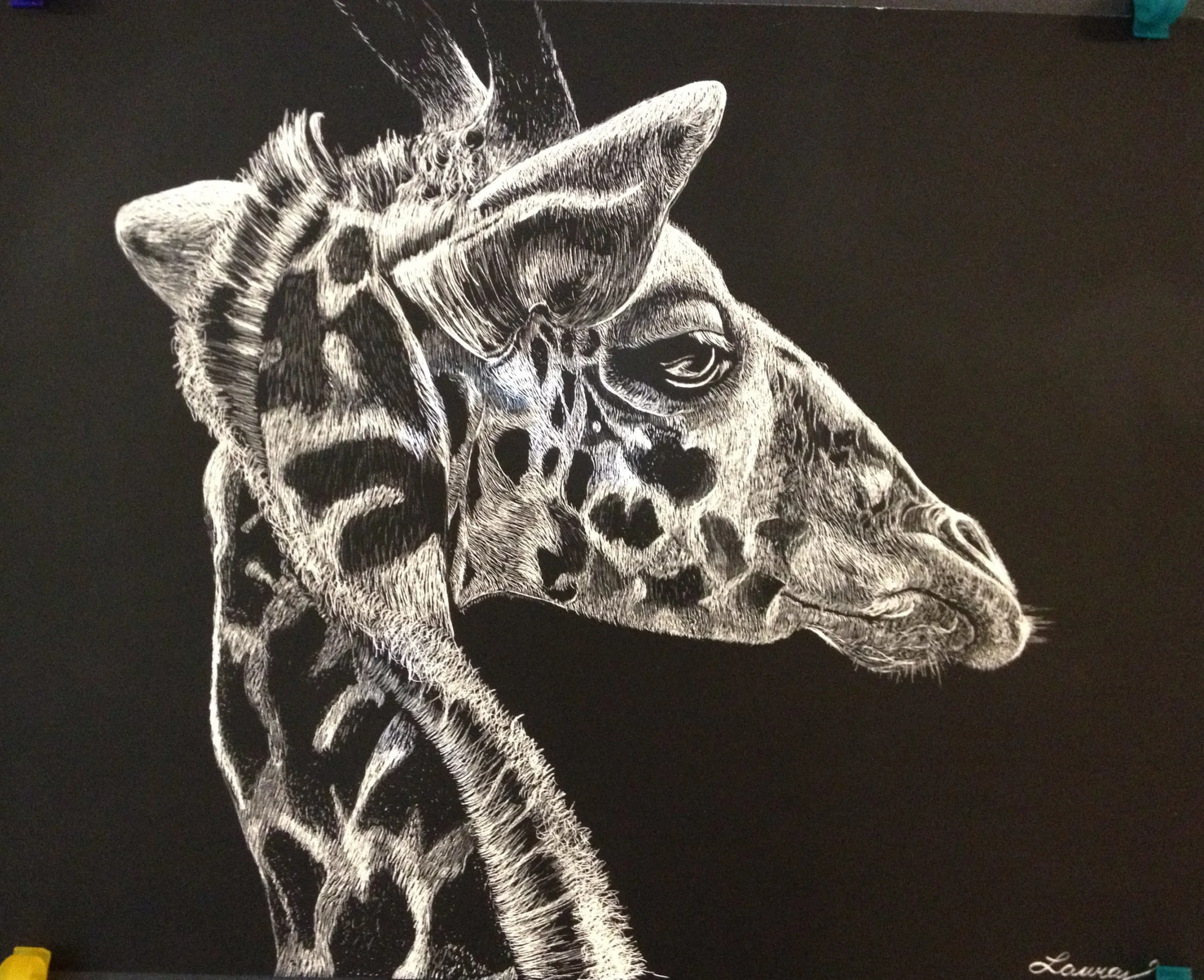 Featured: High School Scratch Art Lesson