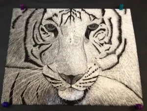 HS Scratch Art Lesson Scratch Board Value through line