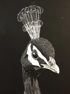 HS Scratch Art Lesson Scratch Board Value through line
