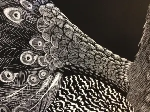 HS Scratch Art Lesson Scratch Board Value through line
