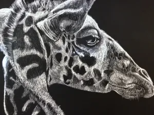 HS Scratch Art Lesson Scratch Board Value through line