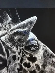 HS Scratch Art Lesson Scratch Board Value through line