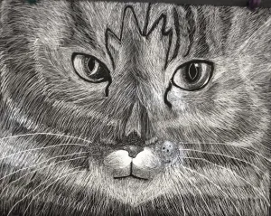 HS Scratch Art Lesson ScratchBoard