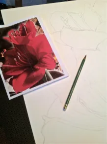 Flower Watercolor Painting Watercolor Painting by Michelle East (Copywrite)