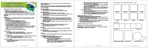 Basic Watercolor Painting Techniques Lesson Plan & Worksheet
