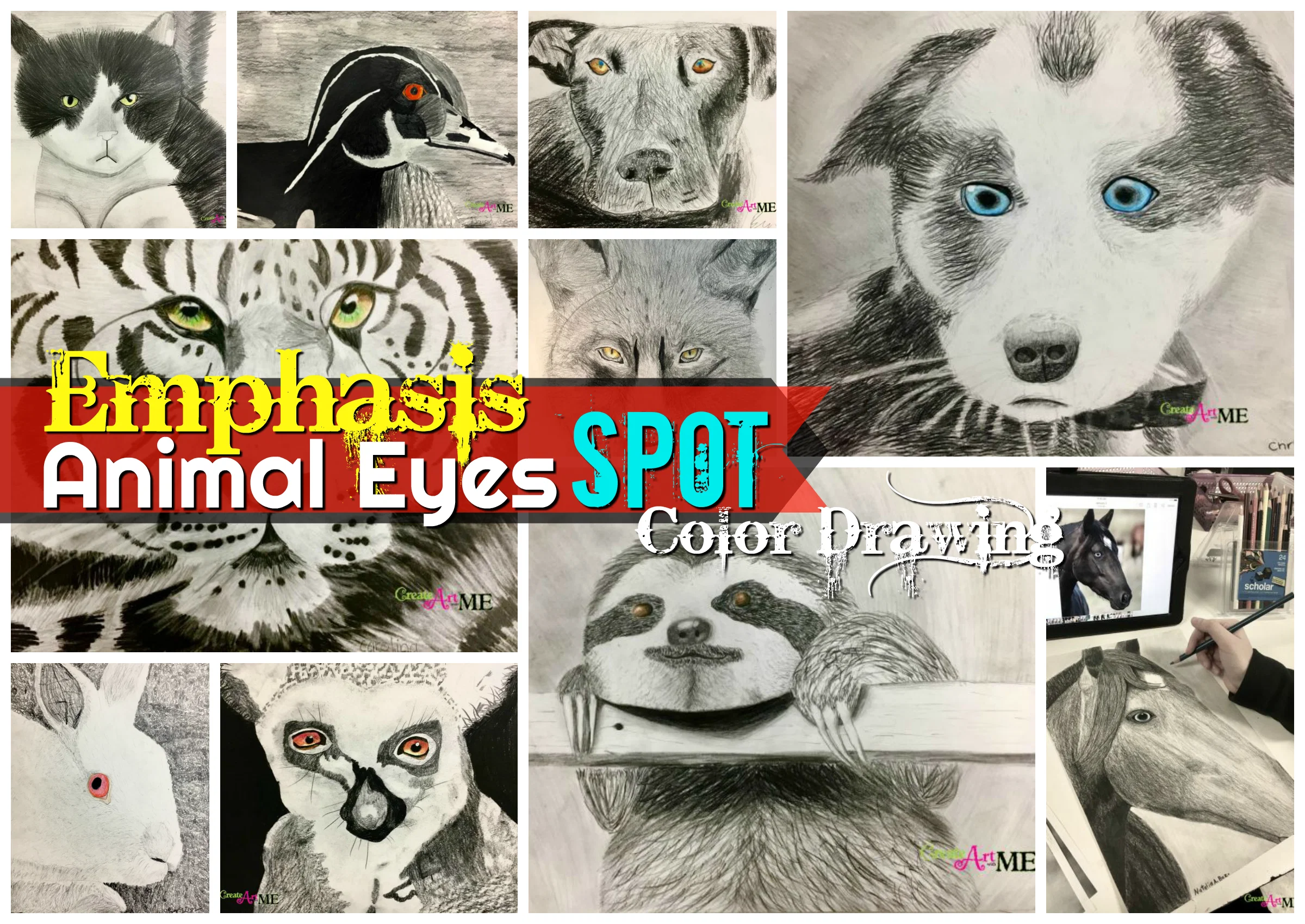Featured: Emphasis Animal Eyes Spot Color Drawing