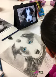 Emphasis Animal Eyes Graphite and Colored Pencil Drawing
