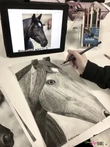 Emphasis Animal Eyes Graphite and Colored Pencil Drawing