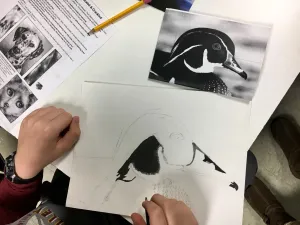 Emphasis Animal Eyes Graphite and Colored Pencil Drawing