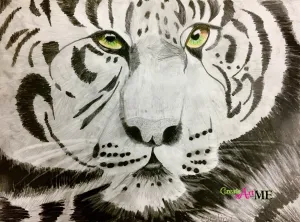 Emphasis Animal Eyes Graphite and Colored Pencil Drawing