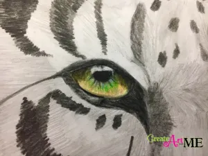 Emphasis Animal Eyes Graphite and Colored Pencil Drawing