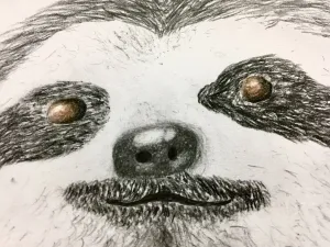 Emphasis Animal Eyes Graphite and Colored Pencil Drawing
