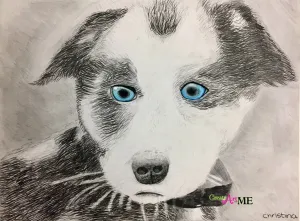 Emphasis Animal Eyes Graphite and Colored Pencil Drawing