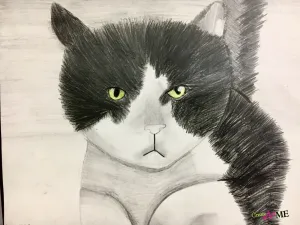 Emphasis Animal Eyes Graphite and Colored Pencil Drawing