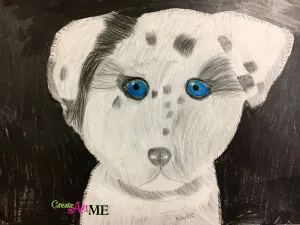 Emphasis Animal Eyes Graphite and Colored Pencil Drawing