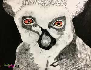 Emphasis Animal Eyes Graphite and Colored Pencil Drawing