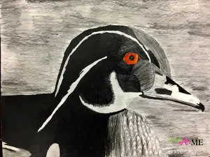 Emphasis Animal Eyes Graphite and Colored Pencil Drawing