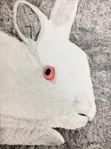 Emphasis Animal Eyes Graphite and Colored Pencil Drawing