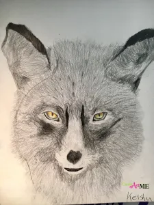Emphasis Animal Eyes Graphite and Colored Pencil Drawing