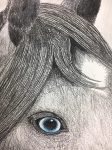 Emphasis Animal Eyes Graphite and Colored Pencil Drawing