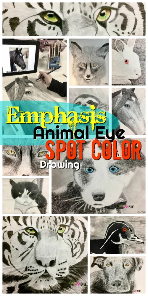 Emphasis Animal Eyes Graphite and Colored Pencil Drawing