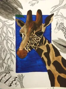 Beyond the Border HS art lesson