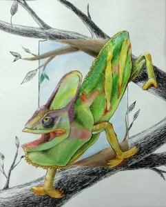 Beyond the Border HS art lesson