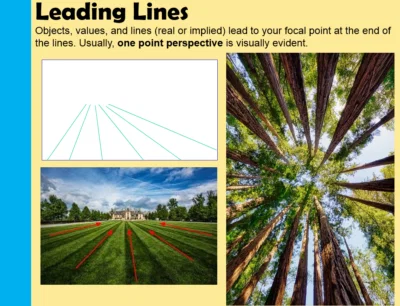 Leading Lines Landscape Composition