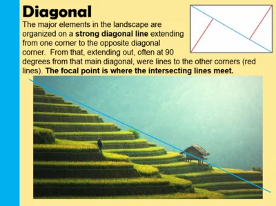 Diagonal Landscape Composition