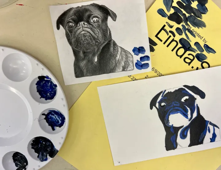 Monochromatic pet portrait practice