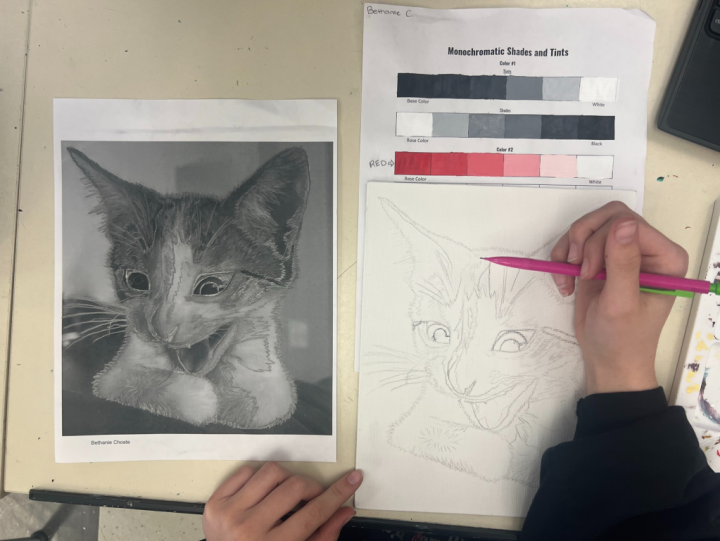 Monochromatic pet portrait practice
