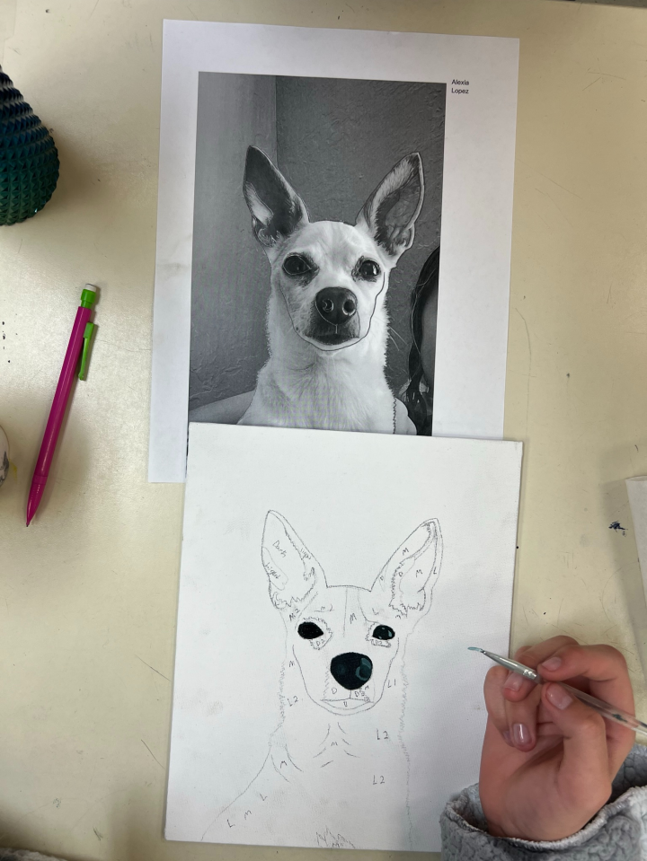 Monochromatic pet portrait practice