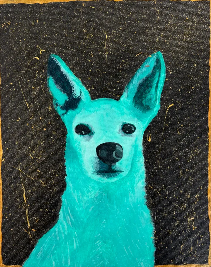 Monochromatic Pet Portraits