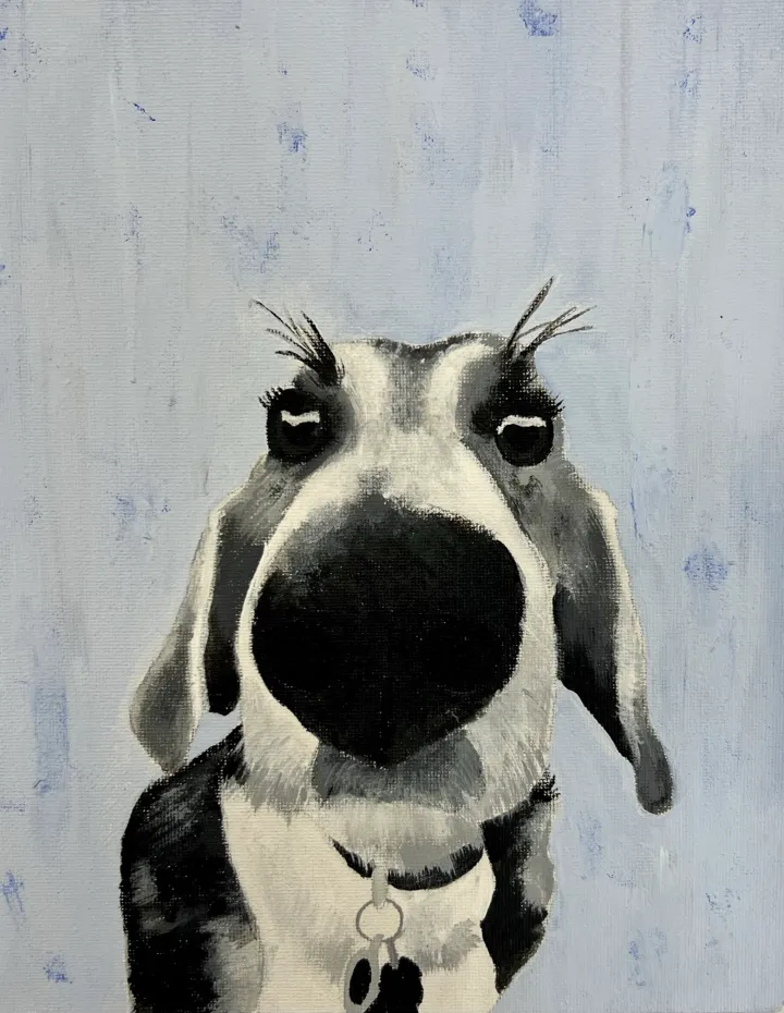 Monochromatic Pet Portraits