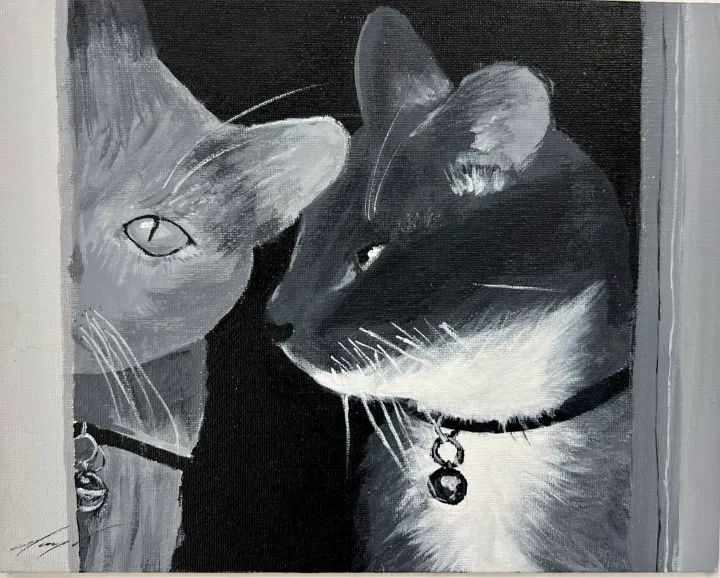 Monochromatic Pet Portraits