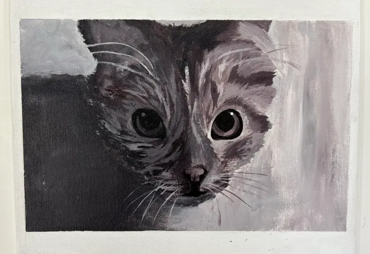Monochromatic Pet Portraits