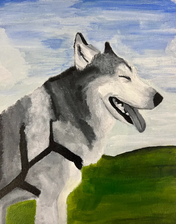 Monochromatic Pet Portraits