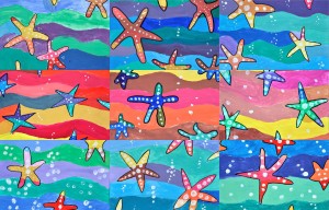9stelle marine