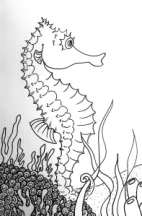Sea Horse outline