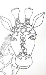 Giraffe Drawing